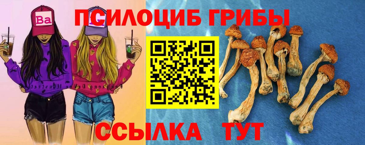 Псилоцибиновые грибы Psilocybe Северск