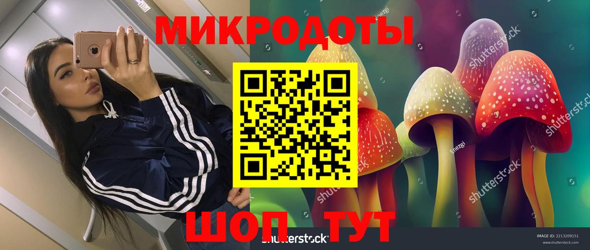 купить закладку  Вход с VPN  Северск  Псилоцибиновые грибы Cubensis  Галлюциногенные грибы Psilocybine cubensis 